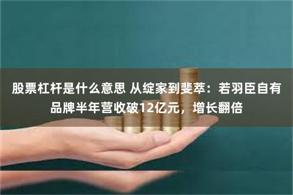 股票杠杆是什么意思 从绽家到斐萃：若羽臣自有品牌半年营收破12亿元，增长翻倍