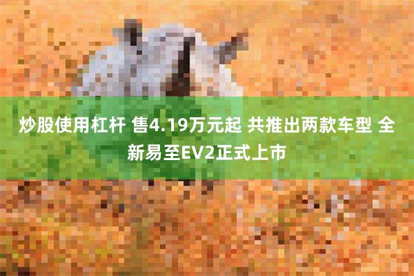 炒股使用杠杆 售4.19万元起 共推出两款车型 全新易至EV2正式上市