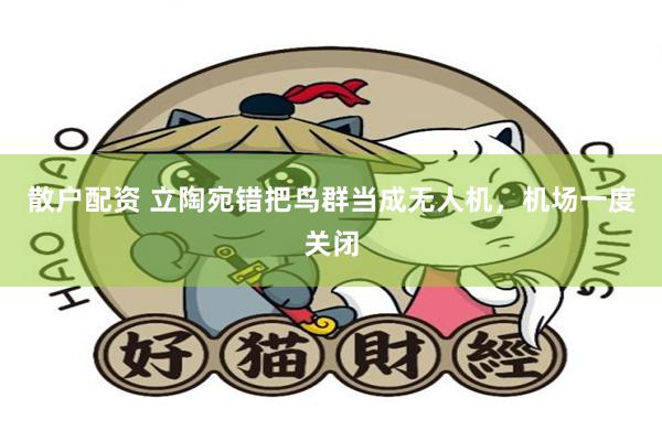 散户配资 立陶宛错把鸟群当成无人机，机场一度关闭
