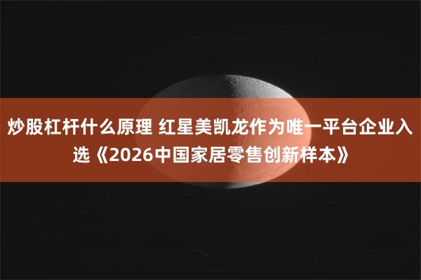 炒股杠杆什么原理 红星美凯龙作为唯一平台企业入选《2026中国家居零售创新样本》