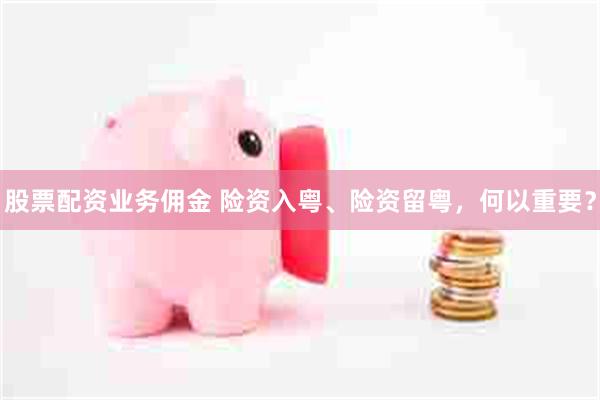 股票配资业务佣金 险资入粤、险资留粤，何以重要？