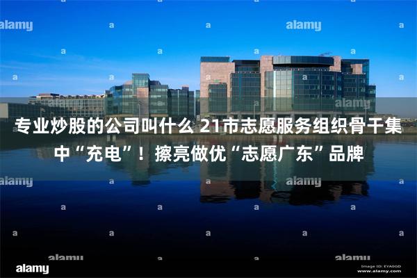专业炒股的公司叫什么 21市志愿服务组织骨干集中“充电”！擦亮做优“志愿广东”品牌