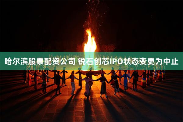 哈尔滨股票配资公司 锐石创芯IPO状态变更为中止