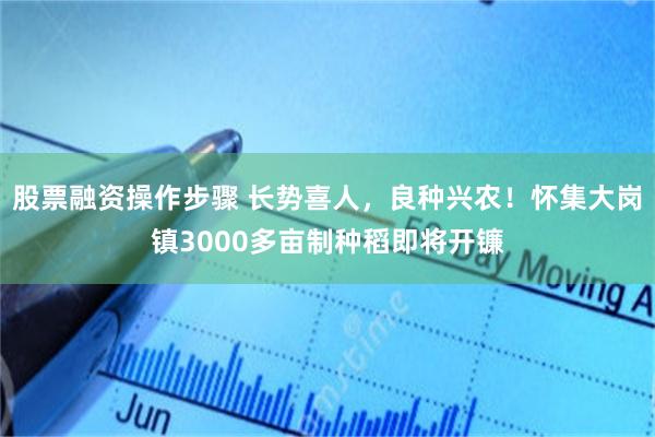 股票融资操作步骤 长势喜人，良种兴农！怀集大岗镇3000多亩制种稻即将开镰
